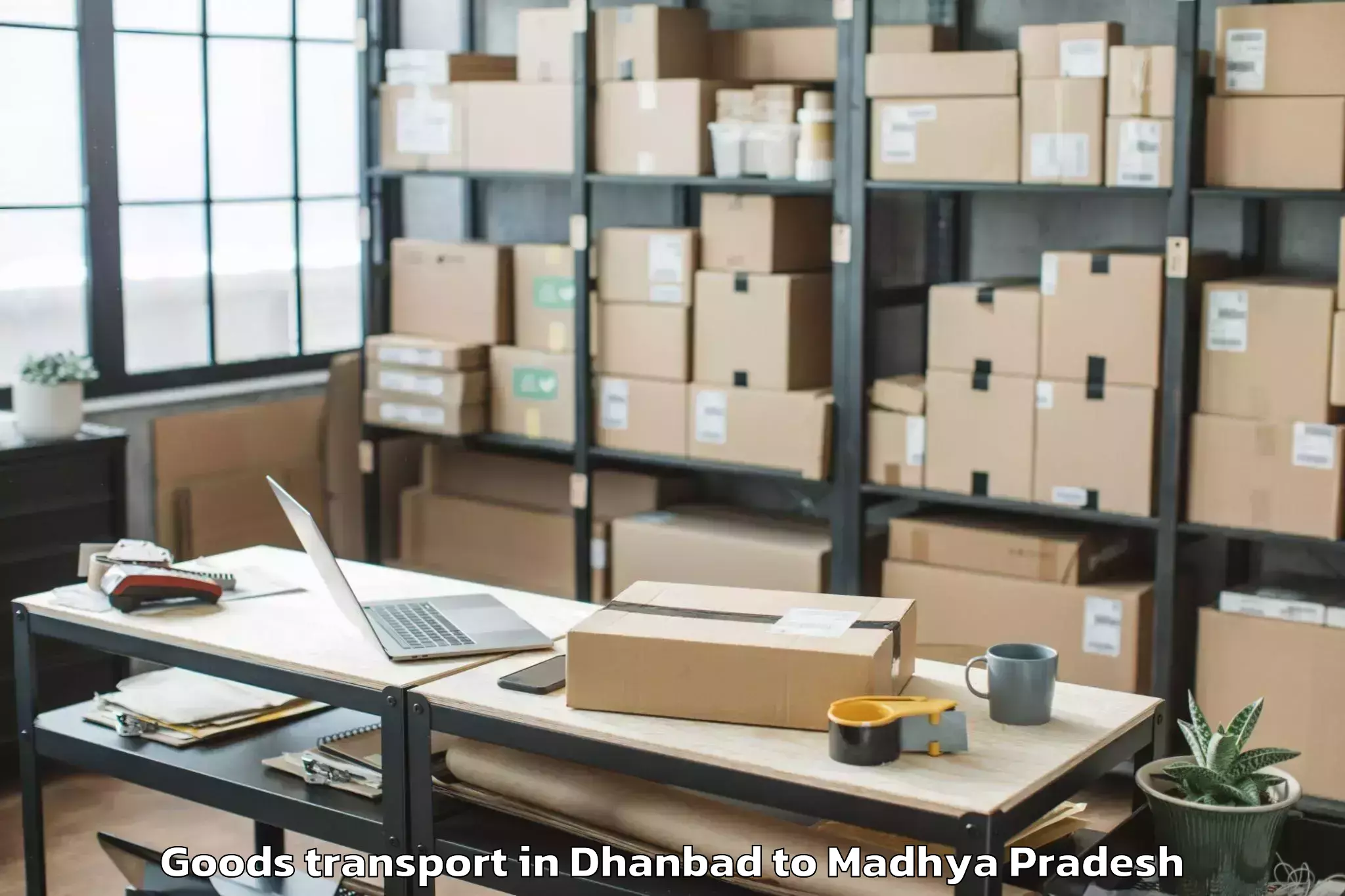 Professional Dhanbad to Indore Goods Transport